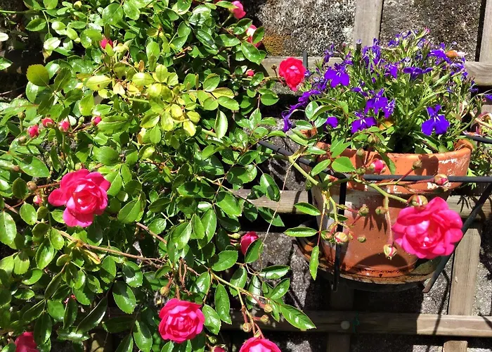 Azabache San Giacomo di Compostella